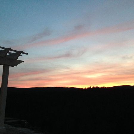 Adams Hill House Retreat - Artist-Architect'S Estate, Newfane Vermont Ngoại thất bức ảnh