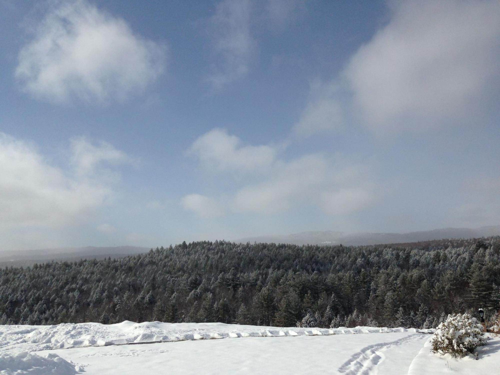 Adams Hill House Retreat - Artist-Architect'S Estate, Newfane Vermont Ngoại thất bức ảnh