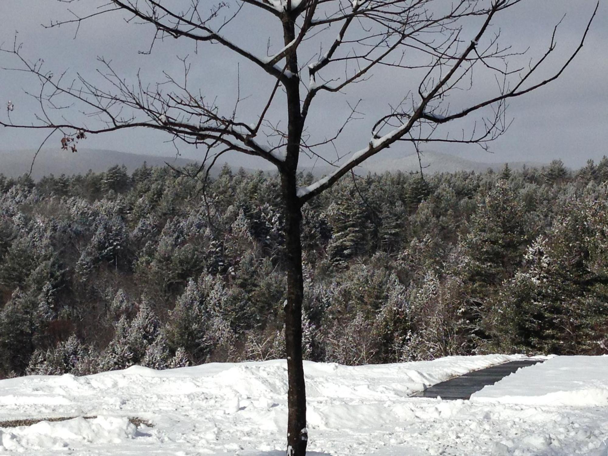 Adams Hill House Retreat - Artist-Architect'S Estate, Newfane Vermont Ngoại thất bức ảnh