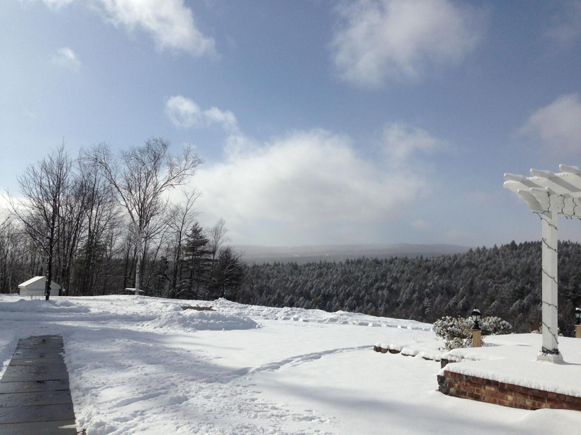 Adams Hill House Retreat - Artist-Architect'S Estate, Newfane Vermont Ngoại thất bức ảnh