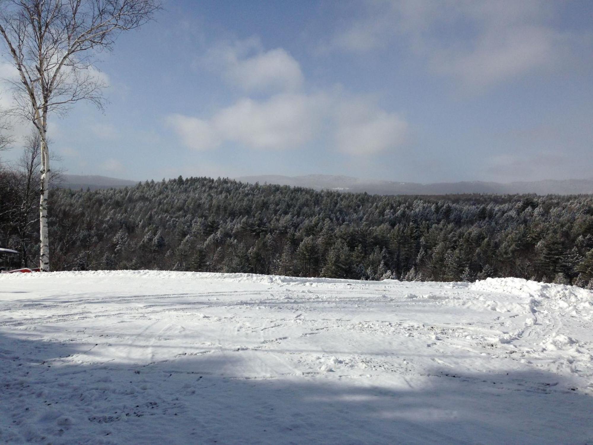 Adams Hill House Retreat - Artist-Architect'S Estate, Newfane Vermont Ngoại thất bức ảnh